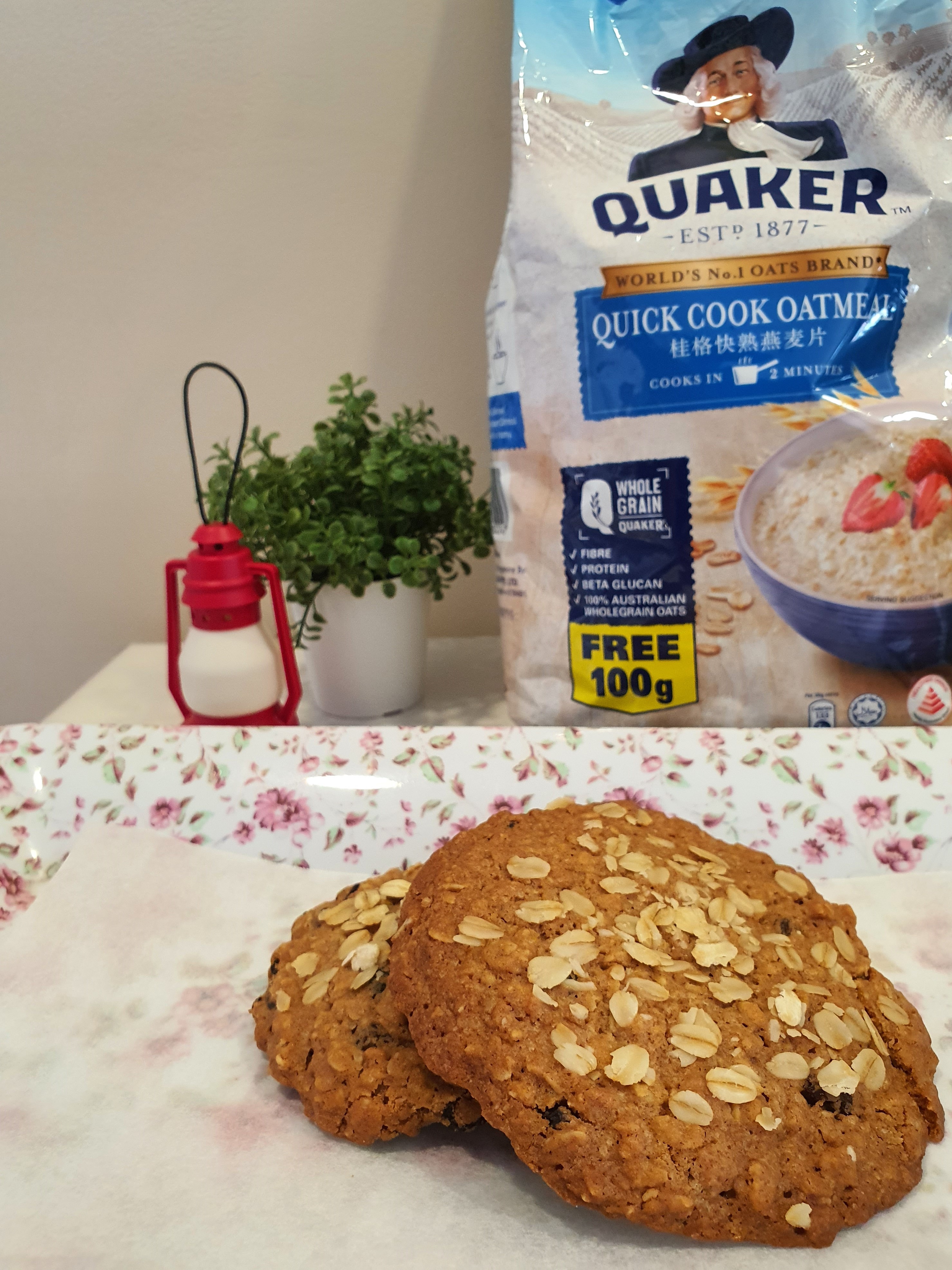 Tasty Chewy Healthy Oatmeal Cookie