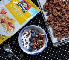 Blueberry Chocolate Coconut with Sea Salt Granola