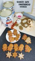 Quaker Oats Crunchy Gingerbread Cookies (No Mixer Required!)