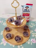 Berry Quaker Oat Bites